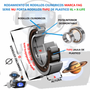 NU213-E-XL-TVP2-C3 RODAMIENTO FAG d=65mm D=120mm B=23mm